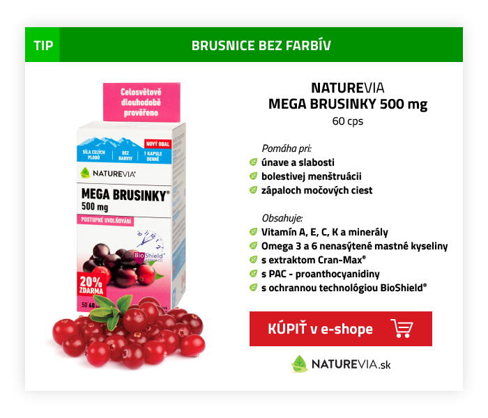 NATUREVIA MEGA BRUSNICE 500mg